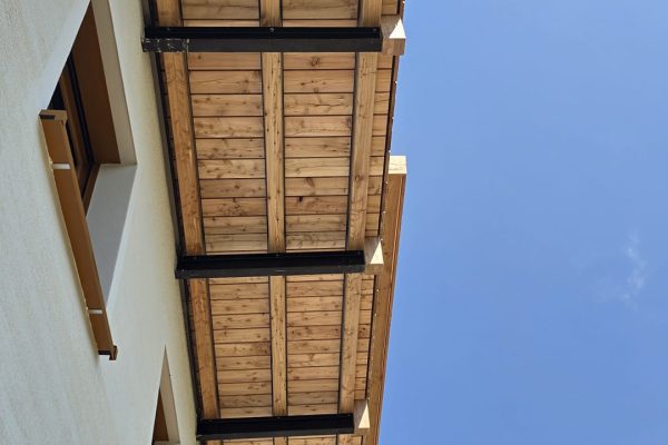 Lärche_gehackt_4 Lärche_gehackt_4